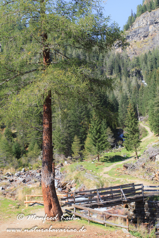 Val di Rabbi (Trentino)_0027