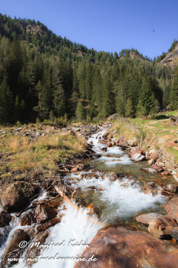 Val di Rabbi (Trentino)_0029