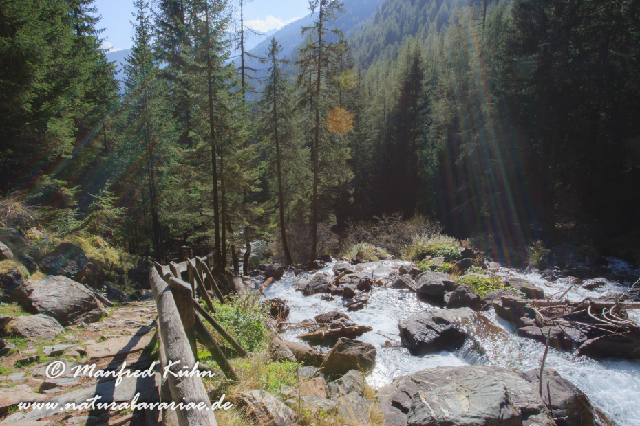 Val di Rabbi (Trentino)_0036
