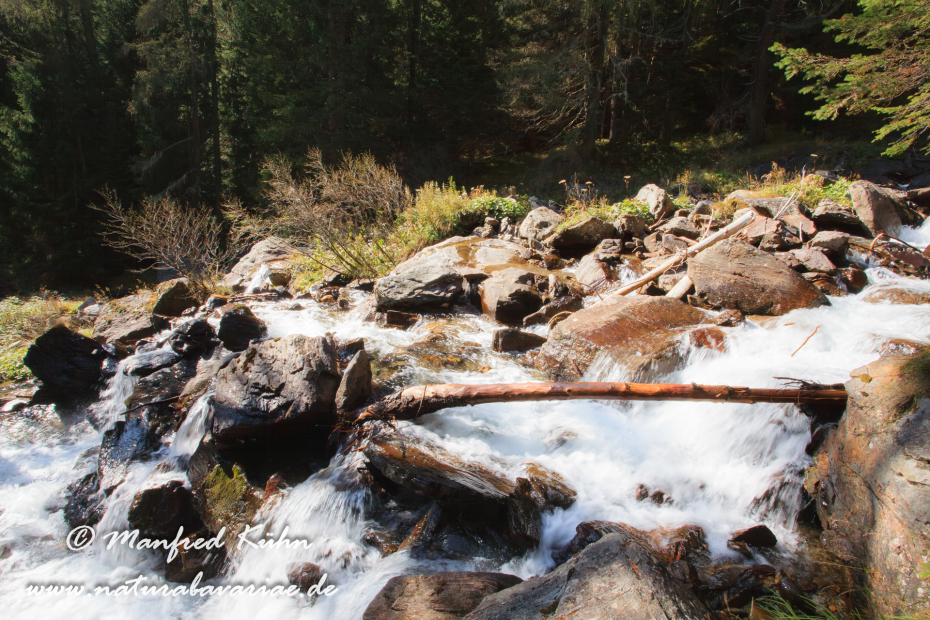 Val di Rabbi (Trentino)_0039
