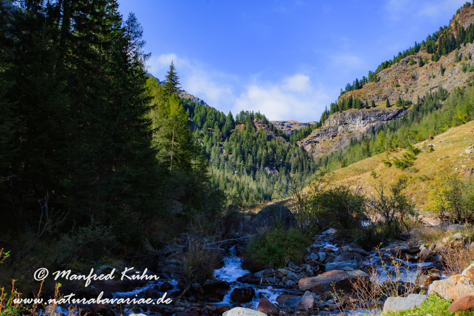 Val di Rabbi (Trentino)_0042