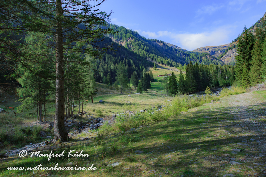 Val di Rabbi (Trentino)_0043