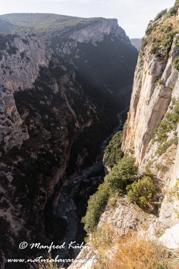 Verdonschlucht-Gorges du Verdon (Frankreich)_0057