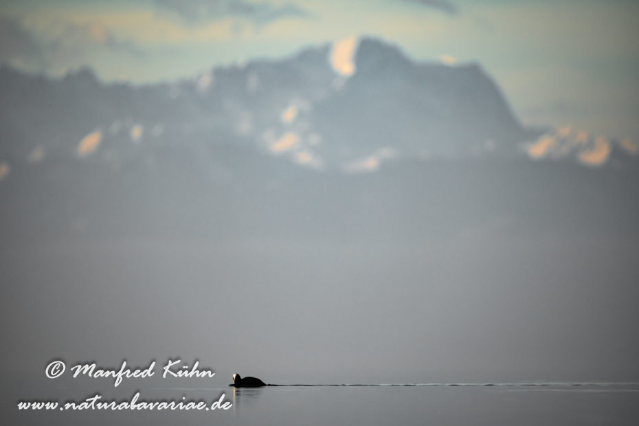 Starnberger See (BAY_LKR_STA)_0006