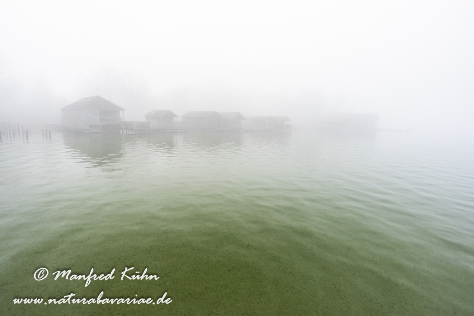 Starnberger See (BAY_LKR_STA)_0008