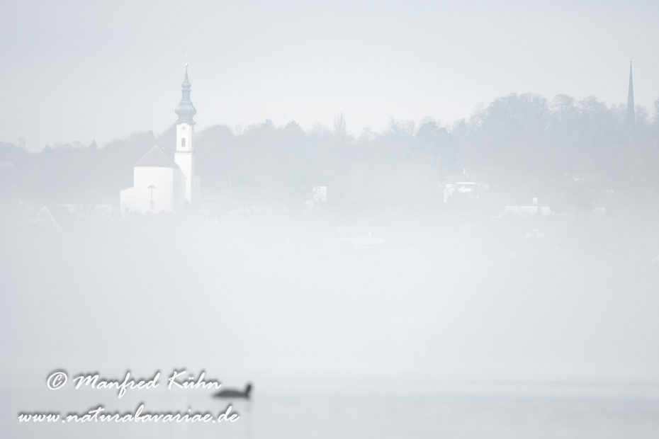 Starnberger See (BAY_LKR_STA)_0020