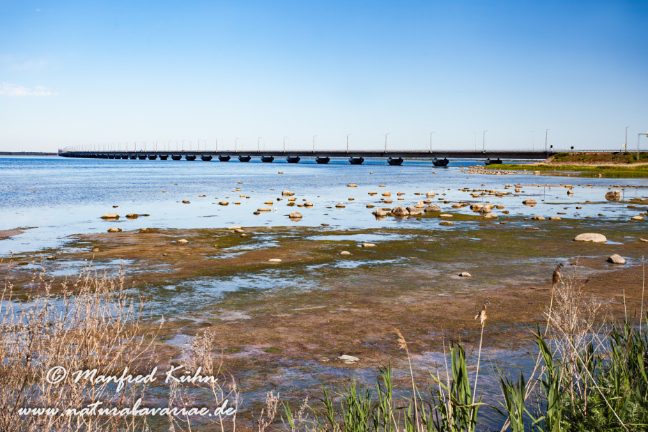 Öland  (Schweden)_0001