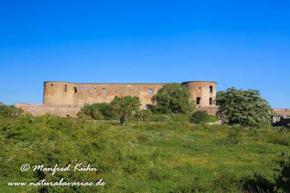 Öland  (Schweden)_0020