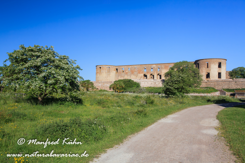 Öland  (Schweden)_0021