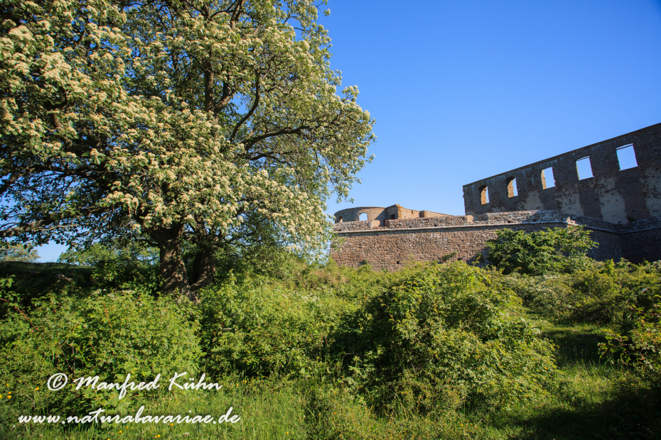 Öland  (Schweden)_0029