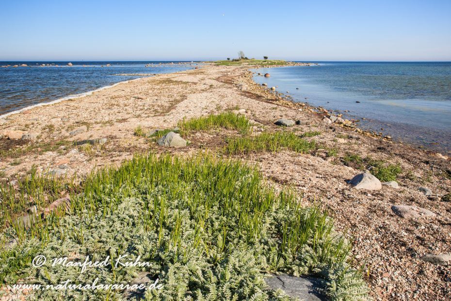 Öland  (Schweden)_0044