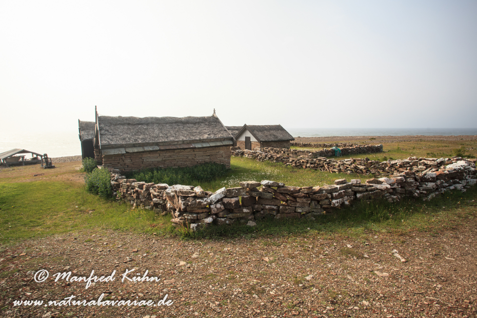 Öland  (Schweden)_0071