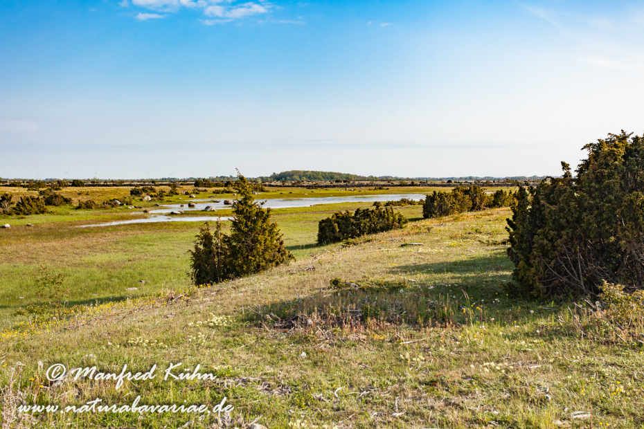 Öland  (Schweden)_0077
