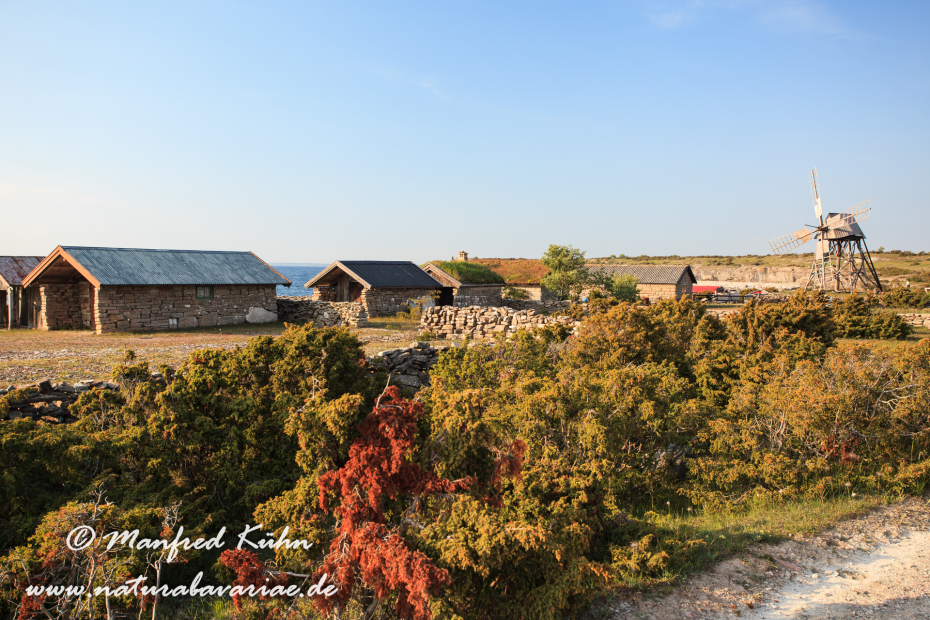 Öland  (Schweden)_0086