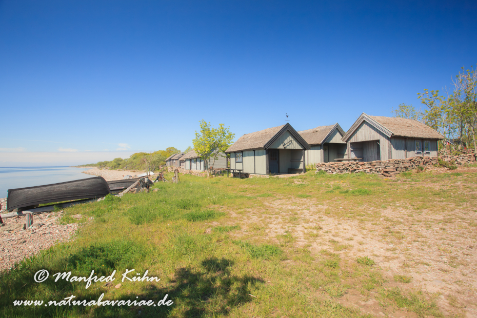 Öland  (Schweden)_0100