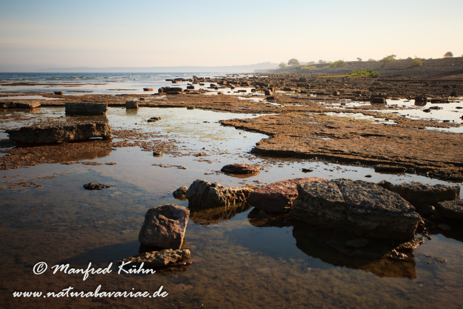Öland  (Schweden)_0118