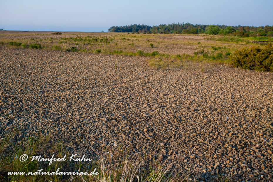 Öland  (Schweden)_0156