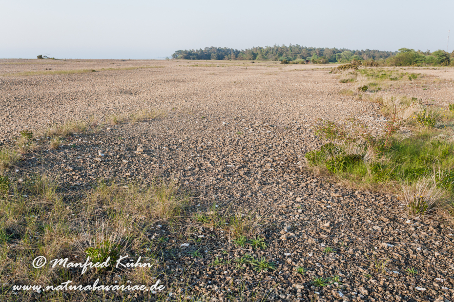 Öland  (Schweden)_0159