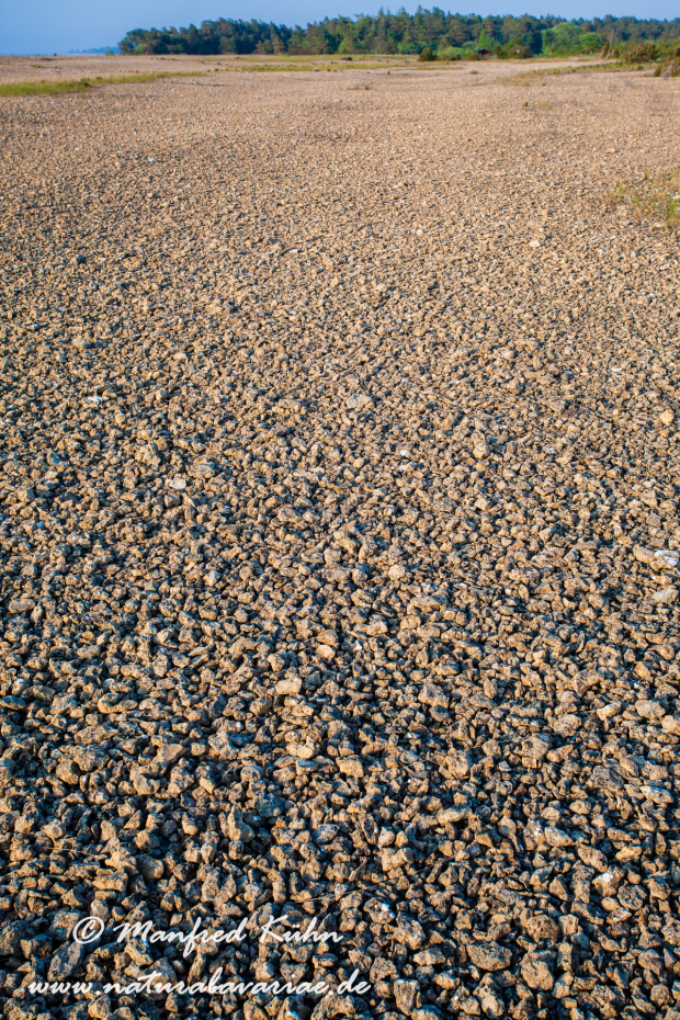 Öland  (Schweden)_0160