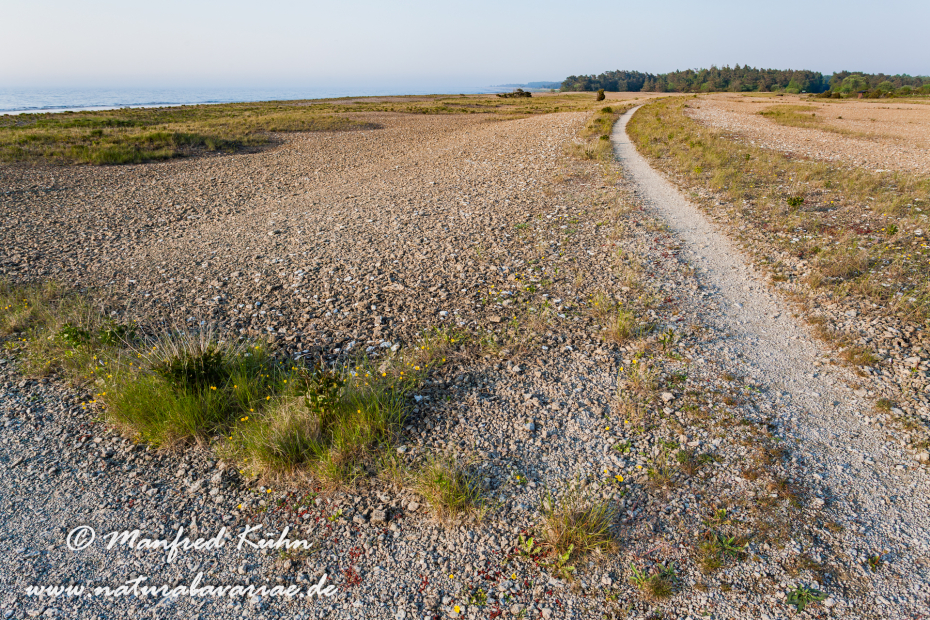Öland  (Schweden)_0161
