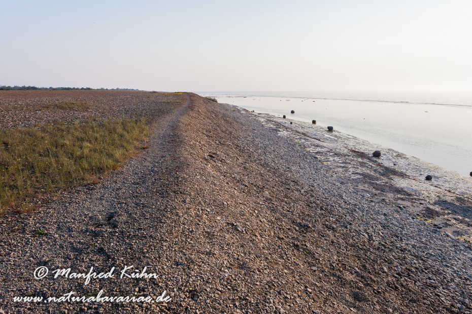 Öland  (Schweden)_0163