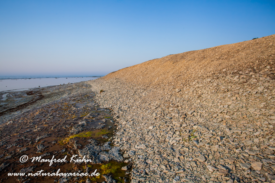 Öland  (Schweden)_0166