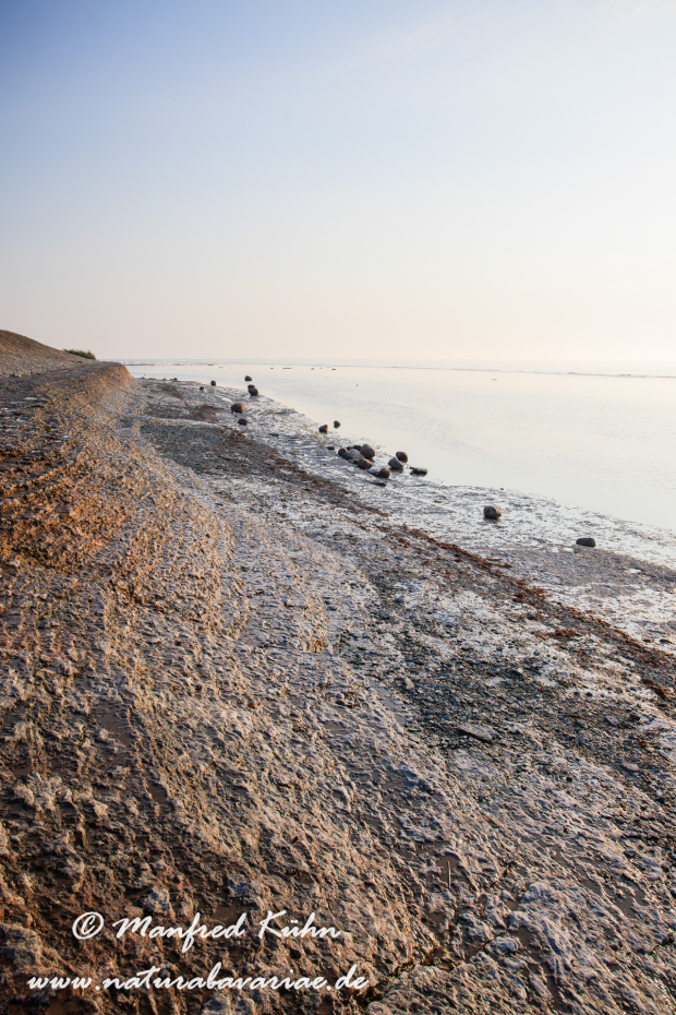 Öland  (Schweden)_0167