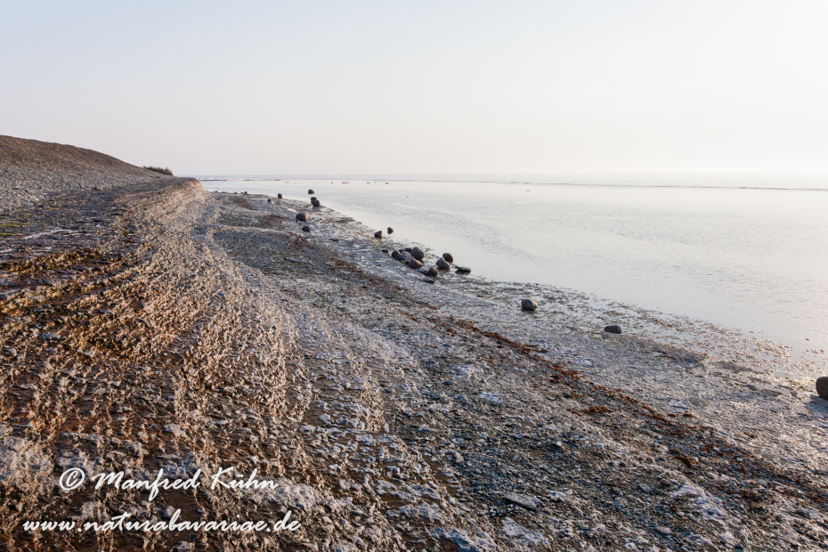 Öland  (Schweden)_0168