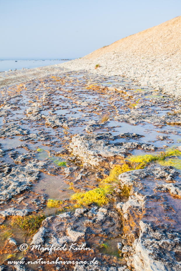 Öland  (Schweden)_0171