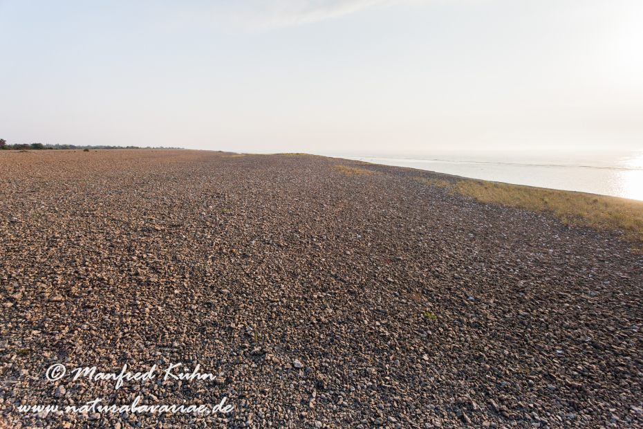 Öland  (Schweden)_0174
