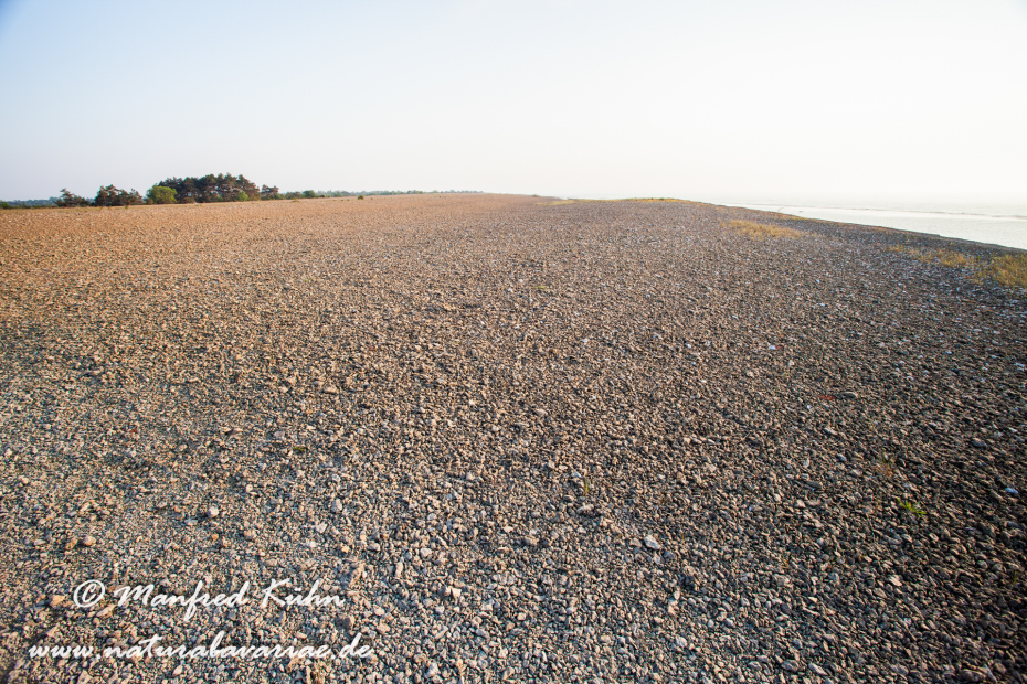 Öland  (Schweden)_0175