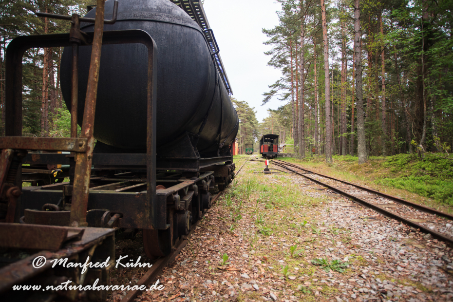 Öland  (Schweden)_0179