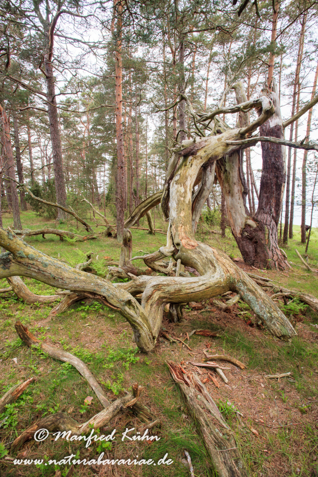 Öland  (Schweden)_0188