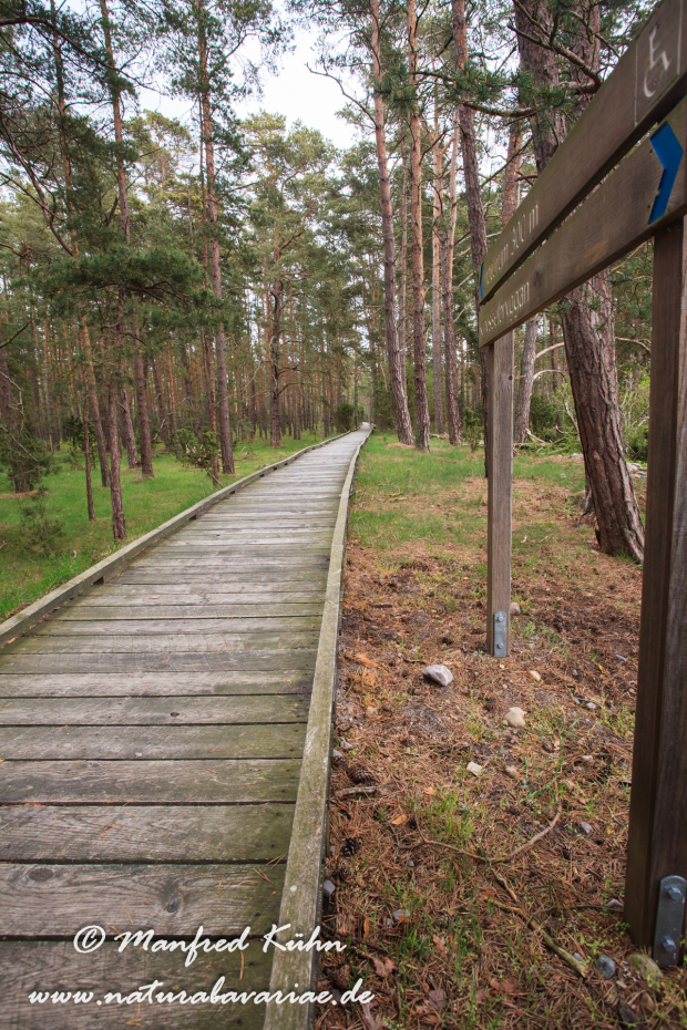 Öland  (Schweden)_0190