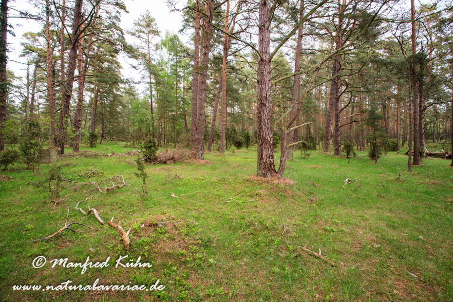 Öland  (Schweden)_0191