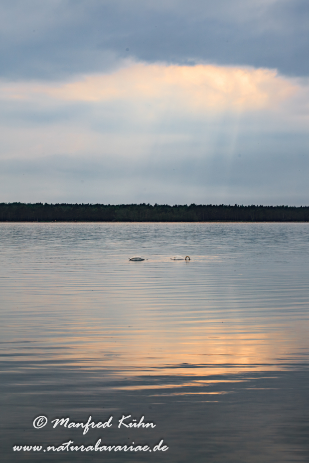 Öland  (Schweden)_0192