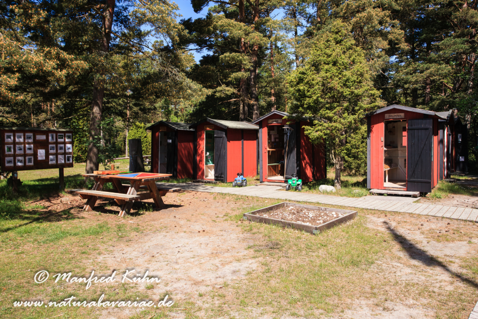 Öland  (Schweden)_0200