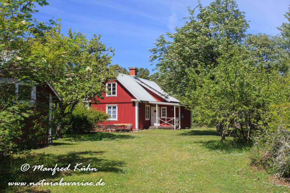 Öland  (Schweden)_0219