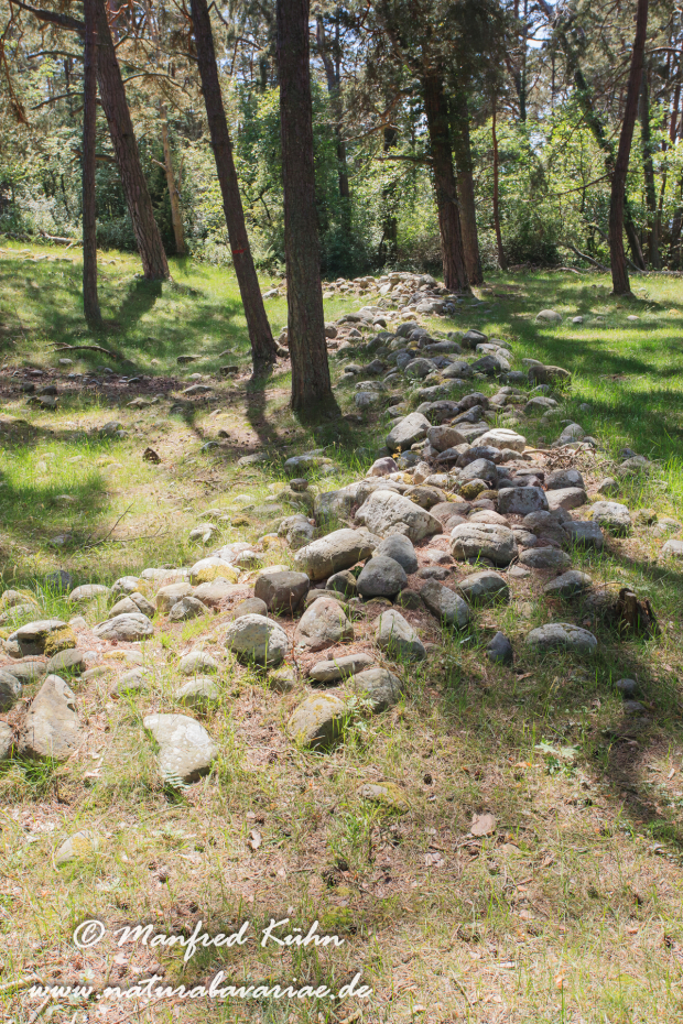 Öland  (Schweden)_0223