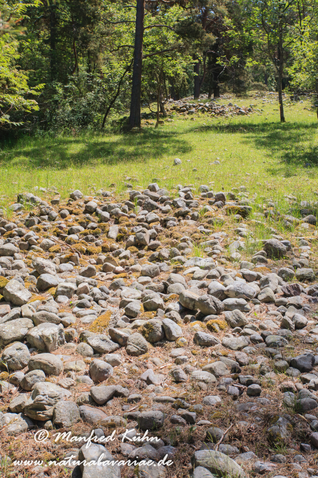Öland  (Schweden)_0224