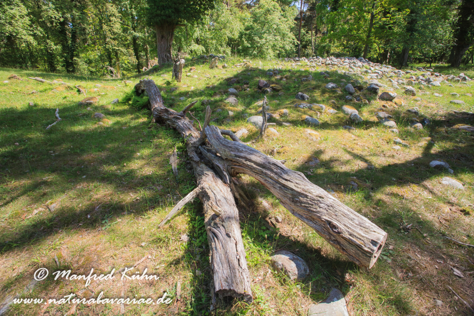 Öland  (Schweden)_0225