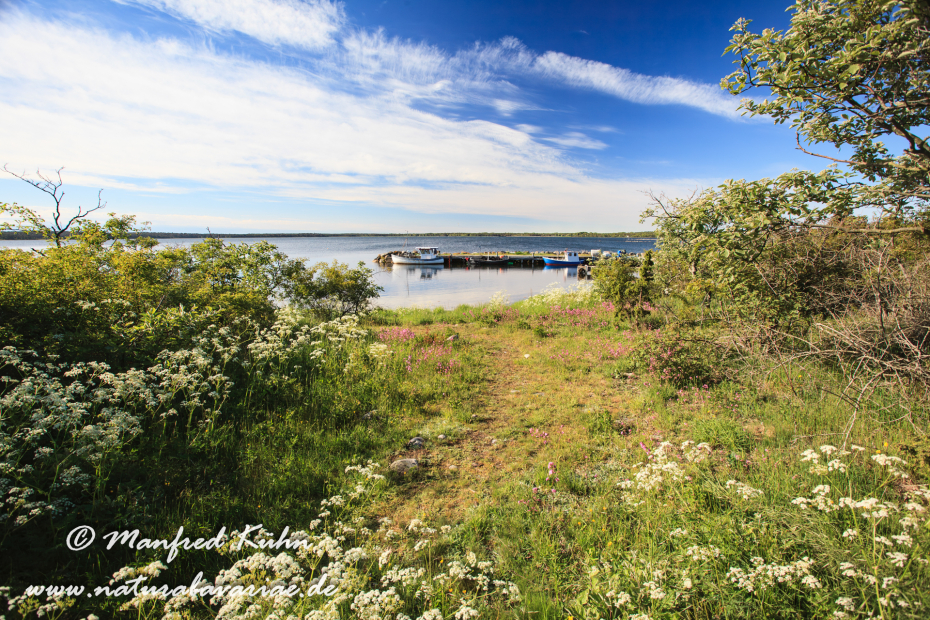 Öland  (Schweden)_0249