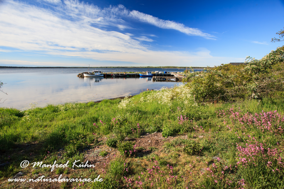 Öland  (Schweden)_0250