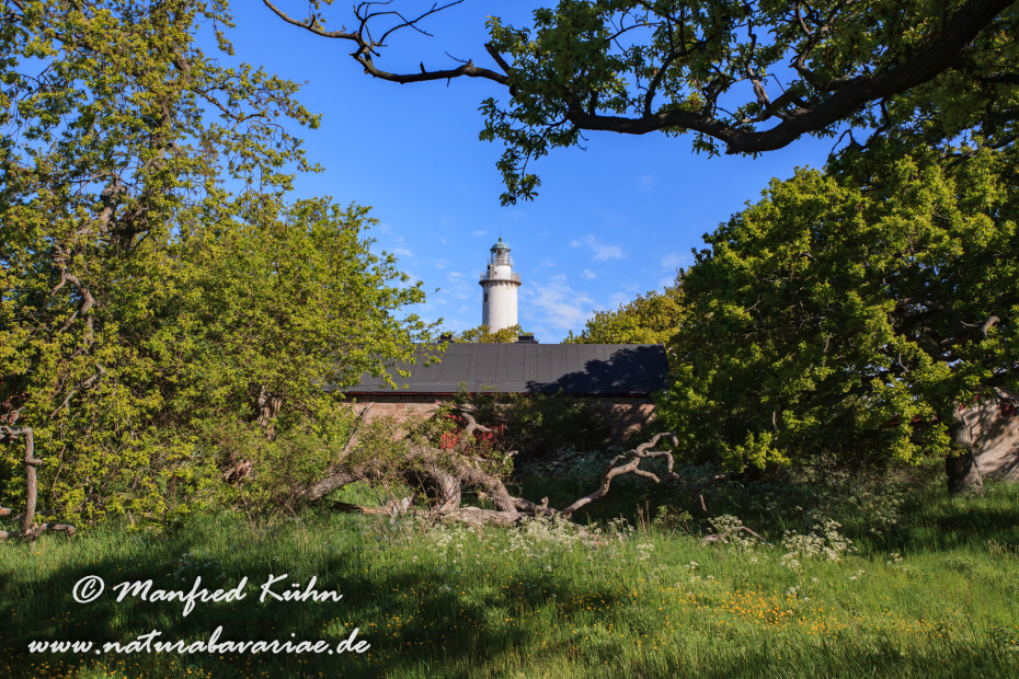 Öland  (Schweden)_0258