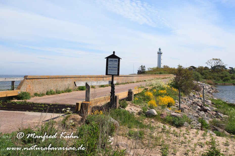Öland  (Schweden)_0263