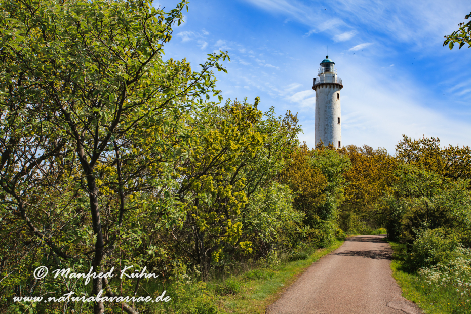 Öland  (Schweden)_0265