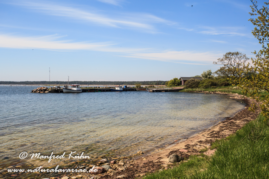 Öland  (Schweden)_0268