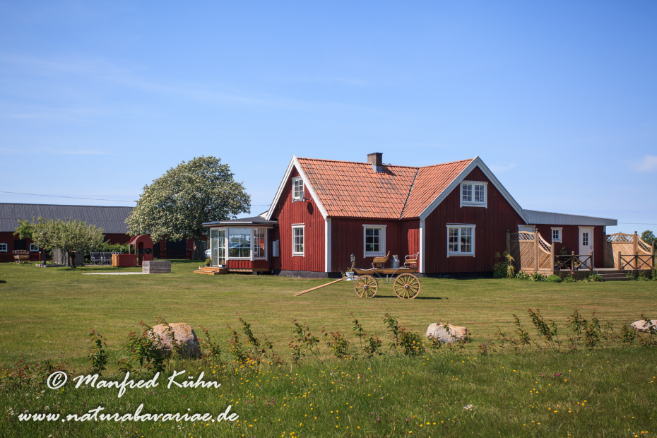 Öland  (Schweden)_0283