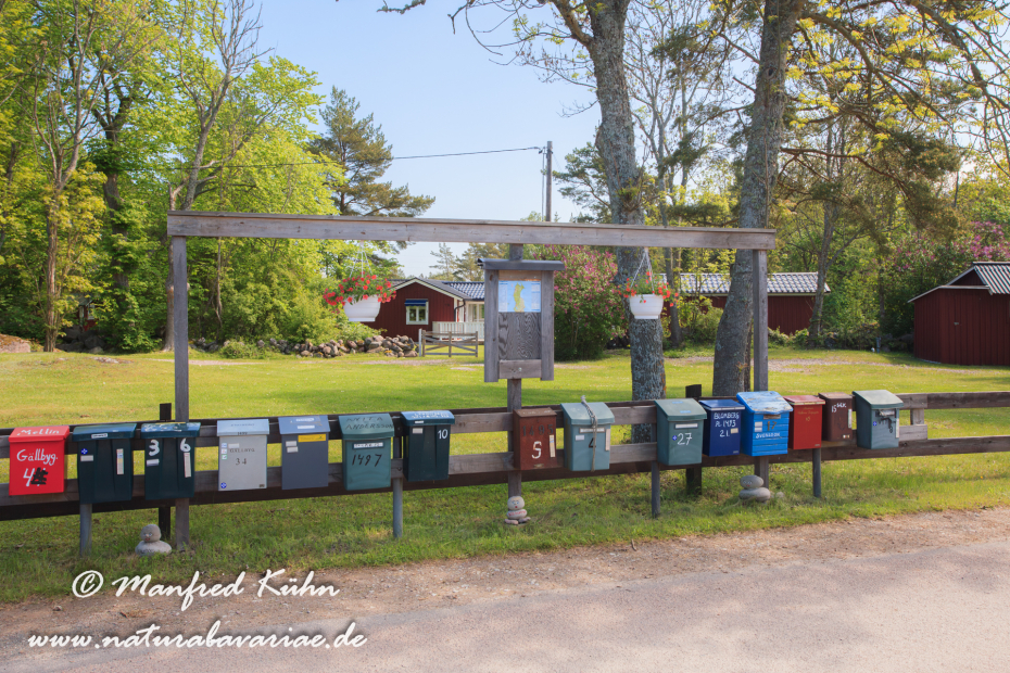 Öland  (Schweden)_0285