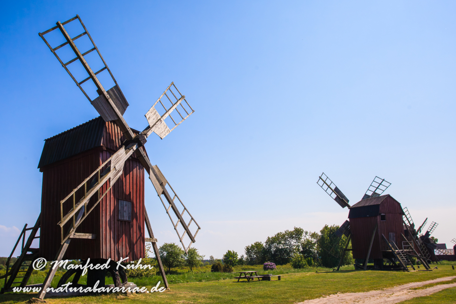 Öland  (Schweden)_0295